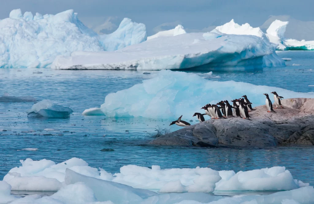 antarctica continent