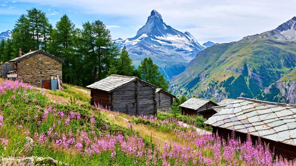 Matterhorn and Rural Scene at Summer Day