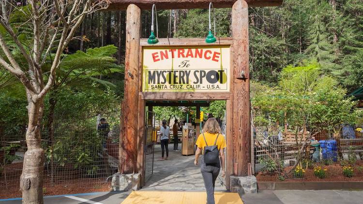 Santa Cruz Mystery Spot 