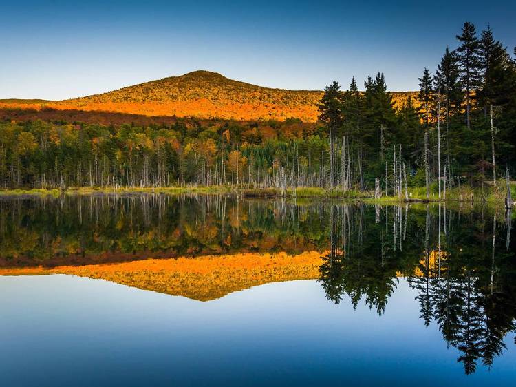 Hobo and Winnipesaukee Scenic Railroads | Meredith, NH