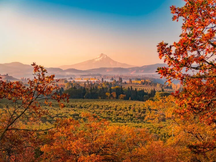 Mt. Hood Railroad | Hood River, OR