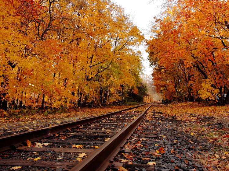 Southern Michigan Railroad Society | Tecumseh, MI