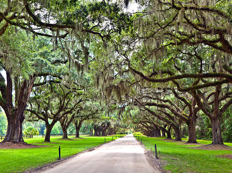 Charleston, SC