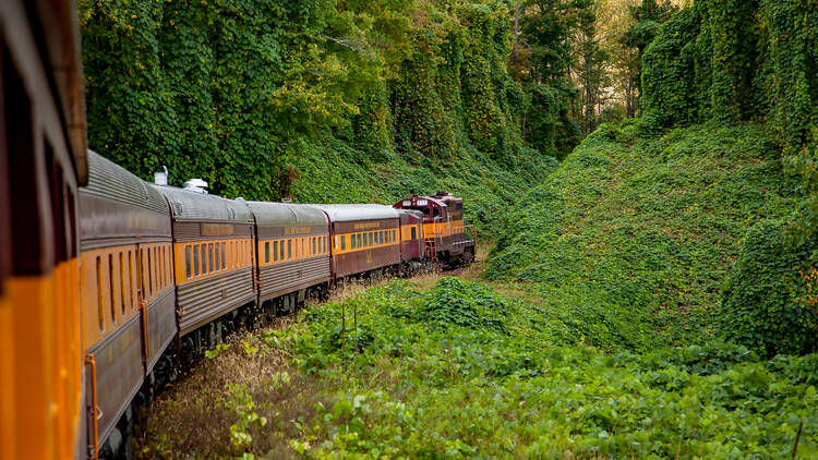 Great Smoky Mountains Railroad Scenic Train, located near the Great Smoky Mountains National Park. It is a freight and heritage railroad