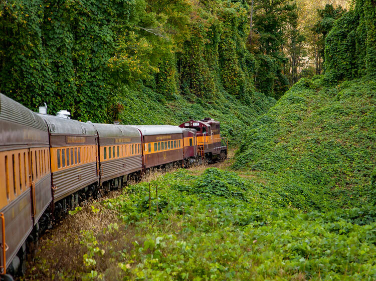 The Great Smoky Mountains Railroad